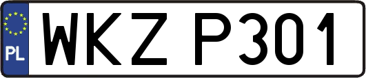WKZP301