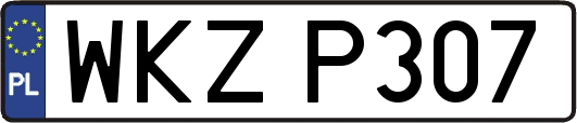 WKZP307