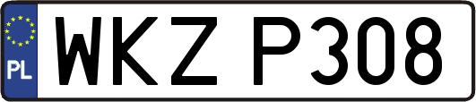 WKZP308