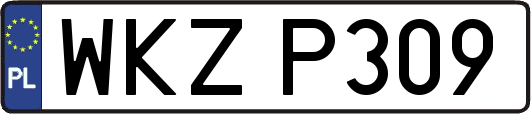 WKZP309