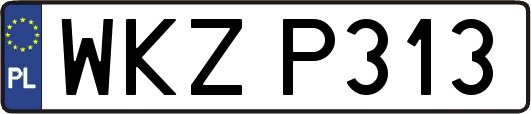 WKZP313