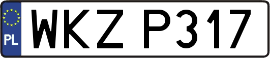 WKZP317