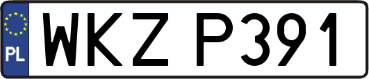 WKZP391