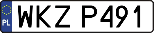 WKZP491