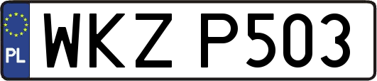 WKZP503