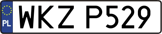 WKZP529