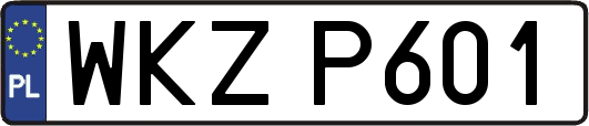 WKZP601