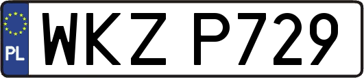 WKZP729