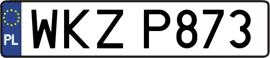 WKZP873