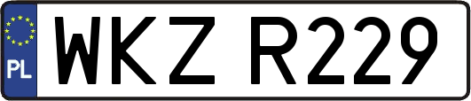 WKZR229