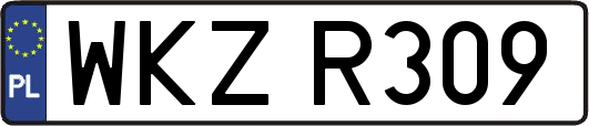 WKZR309