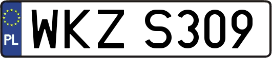 WKZS309