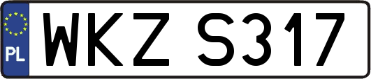WKZS317