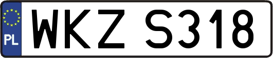 WKZS318