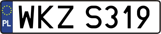 WKZS319