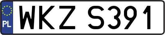WKZS391