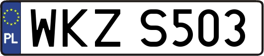 WKZS503