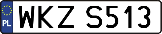WKZS513