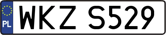 WKZS529