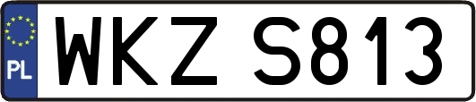 WKZS813