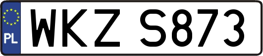 WKZS873