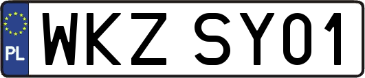 WKZSY01