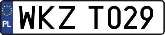 WKZT029