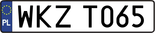 WKZT065