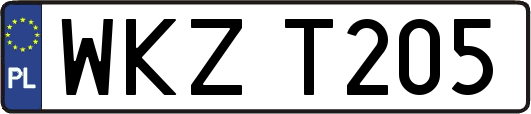 WKZT205