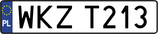WKZT213