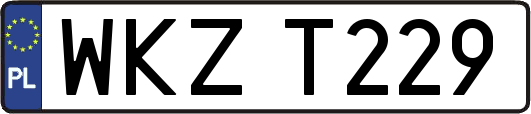 WKZT229