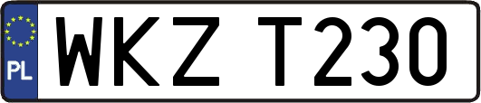 WKZT230