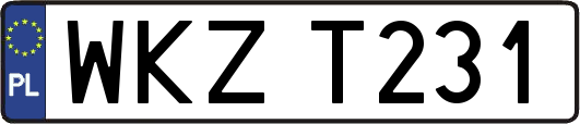 WKZT231