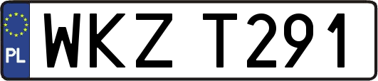 WKZT291
