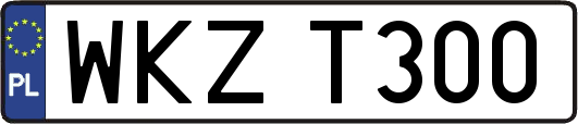 WKZT300