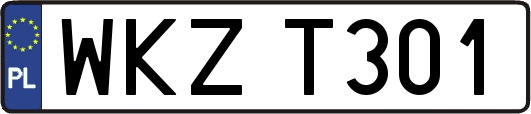 WKZT301