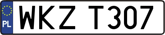 WKZT307
