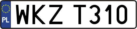 WKZT310