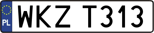 WKZT313