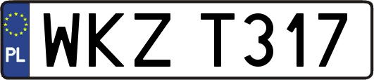 WKZT317