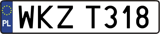 WKZT318