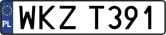 WKZT391