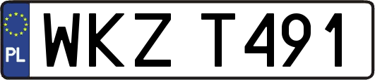 WKZT491