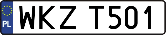 WKZT501