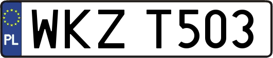 WKZT503