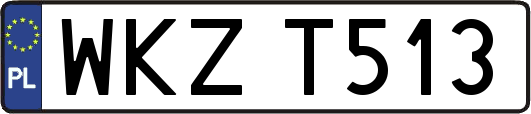 WKZT513