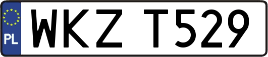 WKZT529