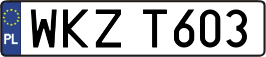 WKZT603
