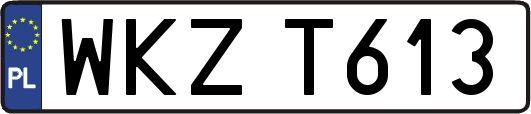 WKZT613