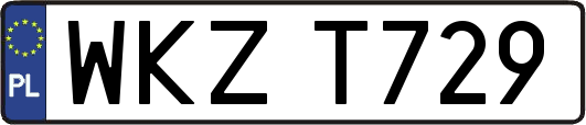 WKZT729